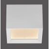 Paul Neuhaus Verlichting Manhattan Plafondlamp LED Wit, 1-licht, Afstandsbediening
