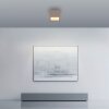 Paul Neuhaus Verlichting Manhattan Plafondlamp LED Brons, 1-licht, Afstandsbediening