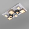 Paul Neuhaus Verlichting Manhattan Plafondlamp LED Grijs, 1-licht, Afstandsbediening