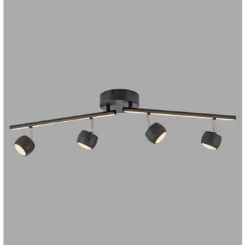 Lichten Direct JARIK Plafondlamp LED Zwart, 5-lichts