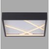 Lichten Direct MIKADO Plafondlamp LED Zwart, 1-licht