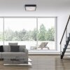 Lichten Direct MIKADO Plafondlamp LED Zwart, 1-licht