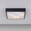 Lichten Direct MIKADO Plafondlamp LED Zwart, 1-licht