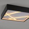 Lichten Direct MIKADO Plafondlamp LED Zwart, 1-licht