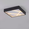 Lichten Direct MIKADO Plafondlamp LED Zwart, 1-licht