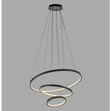 Lichten Direct CERCHI Hanglamp LED Zwart, 1-licht