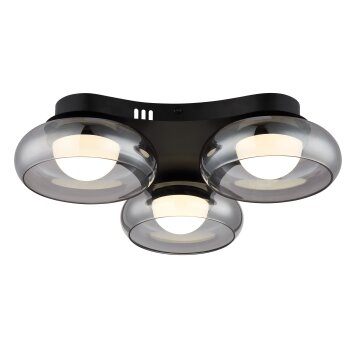 Globo Carlene Plafondlamp LED Zwart, 1-licht