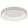 Globo Gallegos Plafondlamp LED Zandkleurig, 1-licht, Afstandsbediening