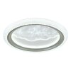 Globo Odessa Plafondlamp LED Grijs, 1-licht