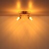 Globo Walton Plafondlamp Bruin, Chroom, 2-lichts