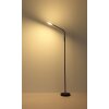 Globo Silvio Staande lamp LED Zwart, 1-licht