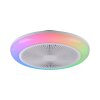 Lichten Direct mit Plafondventilator met verlichting LED Wit, 1-licht, Afstandsbediening