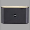 Lichten Direct ZIDDY Wandlamp LED Zwart, 2-lichts, Bewegingsmelder