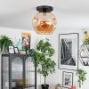 Ripoll Plafondlamp, Kogellampje Amber, 1-licht