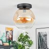 Ripoll Plafondlamp, Kogellampje Amber, Duidelijk, 1-licht