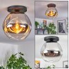Ripoll Plafondlamp, Kogellampje Chroom, Duidelijk, Rookkleurig, 1-licht