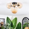 Chehalis Plafondlamp, Kogellampje Goud, Zwart, 3-lichts