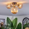 Chehalis Plafondlamp, Kogellampje Goud, Zwart, 3-lichts
