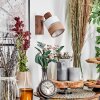 Fallhagen Wandlamp, Muurspot Chroom, Hout donker, 1-licht