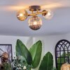 Chehalis Plafondlamp, Kogellampje Goud, Zwart, 3-lichts