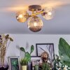 Chehalis Plafondlamp, Kogellampje Goud, Zwart, 3-lichts