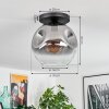 Ripoll Plafondlamp, Kogellampje Duidelijk, Rookkleurig, 1-licht