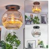 Ripoll Plafondlamp, Kogellampje Chroom, Duidelijk, Rookkleurig, 1-licht