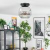 Ripoll Plafondlamp, Kogellampje Chroom, Duidelijk, Rookkleurig, 1-licht