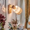 Fallhagen Wandlamp, Muurspot Chroom, Hout licht, 1-licht