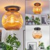 Ripoll Plafondlamp, Kogellampje Amber, 1-licht