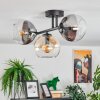 Koyoto Plafondlamp, Kogellampje Amber, Duidelijk, Rookkleurig, 3-lichts