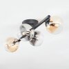 Chehalis Plafondlamp, Kogellampje Amber, Duidelijk, Rookkleurig, 4-lichts