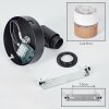 Fallhagen Wandlamp, Muurspot Zwart, 1-licht