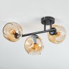 Ripoll Plafondlamp, Kogellampje Amber, 3-lichts