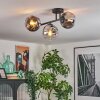 Ripoll Plafondlamp, Kogellampje Chroom, Duidelijk, Rookkleurig, 3-lichts