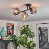 Ripoll Plafondlamp, Kogellampje Duidelijk, Rookkleurig, 3-lichts