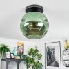 Ripoll Plafondlamp, Kogellampje Groen, 1-licht