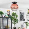 Ripoll Plafondlamp, Kogellampje Duidelijk, Koperkleurig, 1-licht