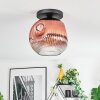 Ripoll Plafondlamp, Kogellampje Duidelijk, Koperkleurig, 1-licht