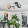 Ripoll Plafondlamp, Kogellampje Amber, Duidelijk, Rookkleurig, 3-lichts