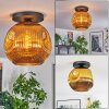 Ripoll Plafondlamp, Kogellampje Goud, 1-licht