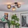 Ripoll Plafondlamp, Kogellampje Duidelijk, Rookkleurig, 3-lichts