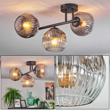 Ripoll Plafondlamp, Kogellampje Duidelijk, Rookkleurig, 3-lichts