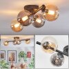 Chehalis Plafondlamp, Kogellampje Amber, Rookkleurig, 4-lichts