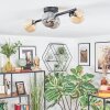Chehalis Plafondlamp, Kogellampje Amber, Rookkleurig, 4-lichts