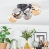 Chehalis Plafondlamp, Kogellampje Amber, Rookkleurig, 4-lichts