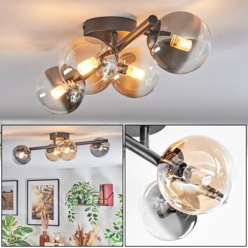 Chehalis Plafondlamp, Kogellampje Amber, Duidelijk, Rookkleurig, 4-lichts