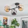 Ripoll Plafondlamp, Kogellampje Amber, Rookkleurig, 3-lichts