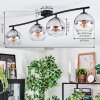 Koyoto Plafondlamp, Kogellampje Duidelijk, Rookkleurig, 4-lichts