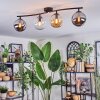Gastor Plafondlamp, Kogellampje Amber, Duidelijk, Rookkleurig, 4-lichts